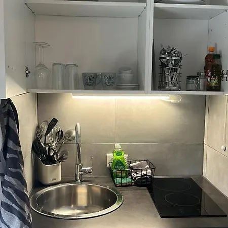 V4 Euroairport Frontiere Suisse Appartement *